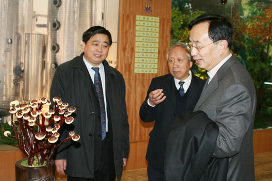 优发国际